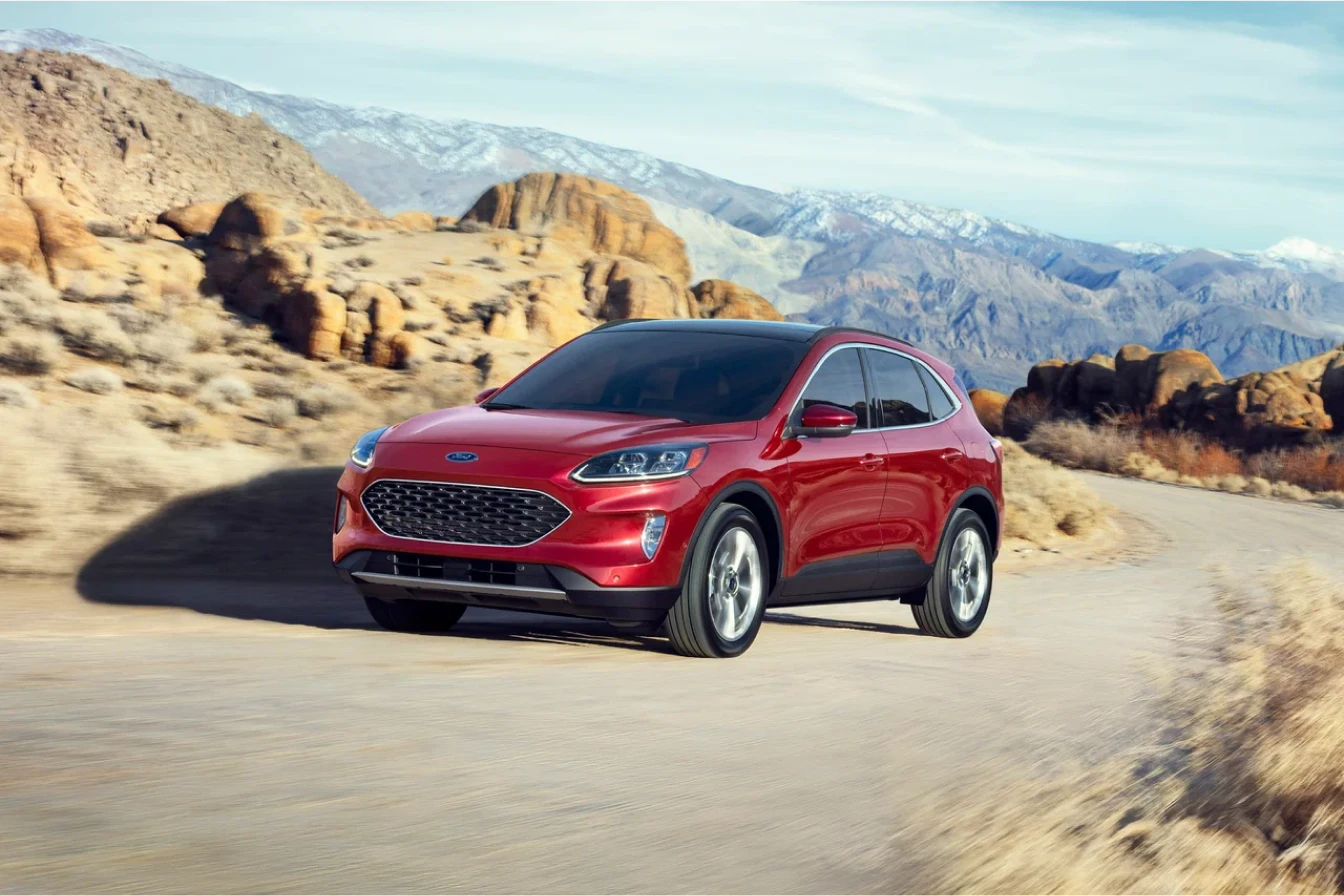 Shiba Inu back seat cover for Ford Escape